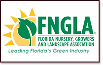 fngla